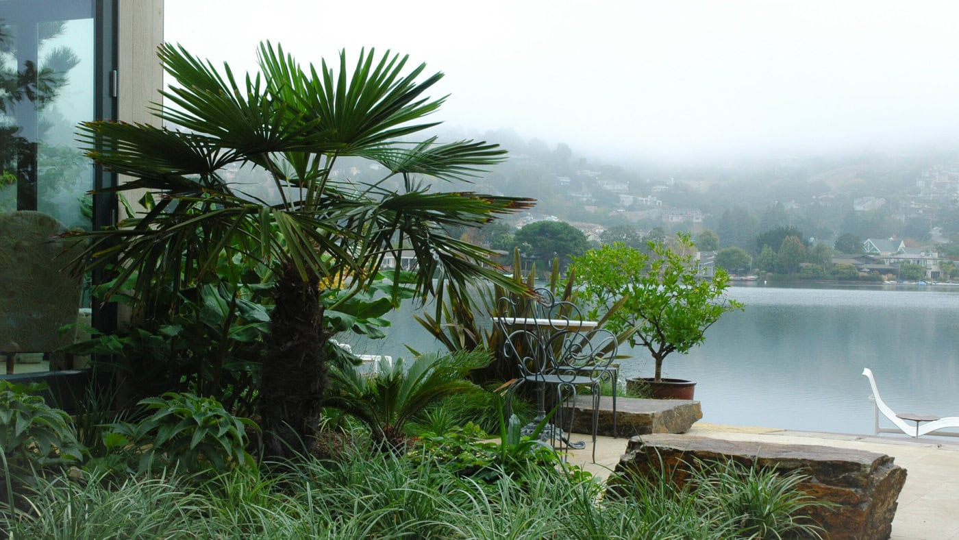 A serene lakeside scene with lush greenery and tropical plants in the foreground. A foggy sky hovers over the distant hills and waterfront houses. A patio with stone steps and outdoor furniture overlooks the calm water.