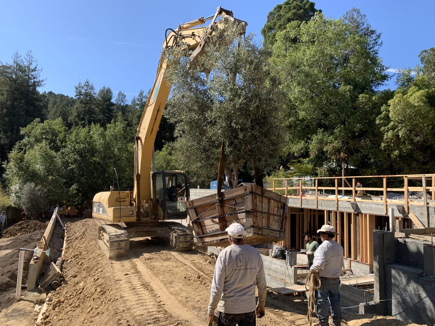 A construction site with a large excavator lifting a tree in a wooden box. Workers in hard hats and casual clothing watch the operation. The site is surrounded by trees and partially built structures in the background.